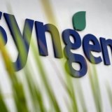 syngenta-1